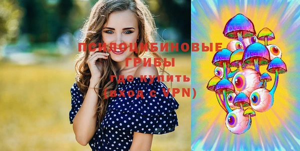 МДПВ Алзамай